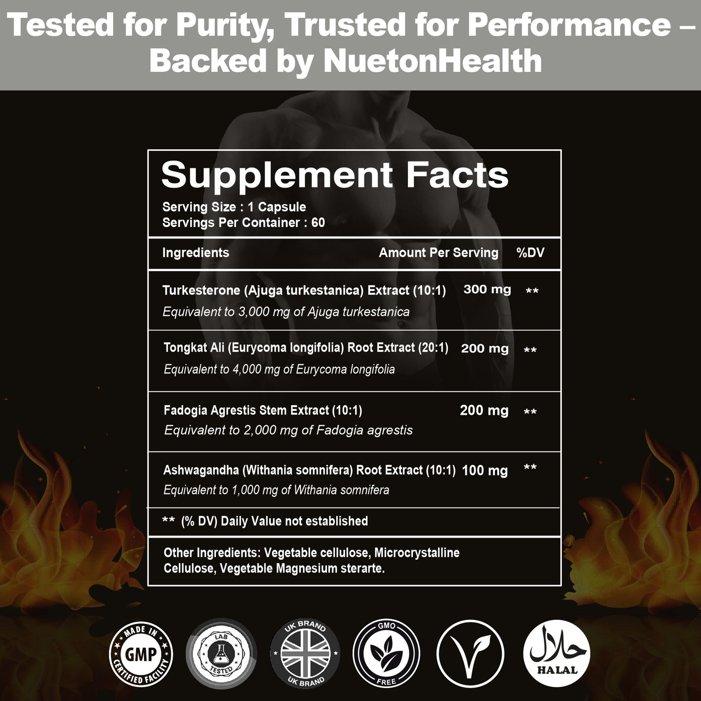 NuetonHealth 4-in-1 Male Vitality Complex – Turkesterone, Tonkat Ali, Fadogia Agrestis & Ashwagandha – Natural Botanical Formula for Energy, Strength & Recovery – 60 Vegan Capsules