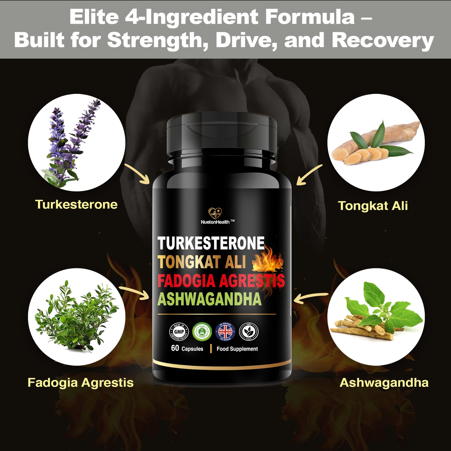 NuetonHealth 4-in-1 Male Vitality Complex – Turkesterone, Tonkat Ali, Fadogia Agrestis & Ashwagandha – Natural Botanical Formula for Energy, Strength & Recovery – 60 Vegan Capsules