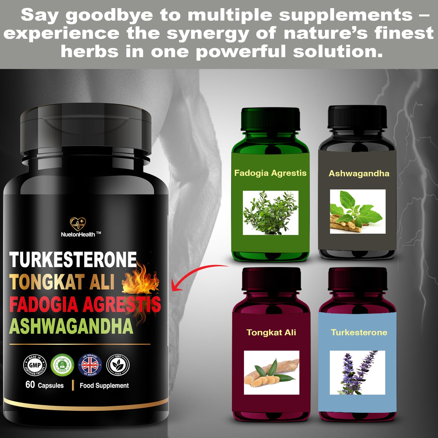 NuetonHealth 4-in-1 Male Vitality Complex – Turkesterone, Tonkat Ali, Fadogia Agrestis & Ashwagandha – Natural Botanical Formula for Energy, Strength & Recovery – 60 Vegan Capsules