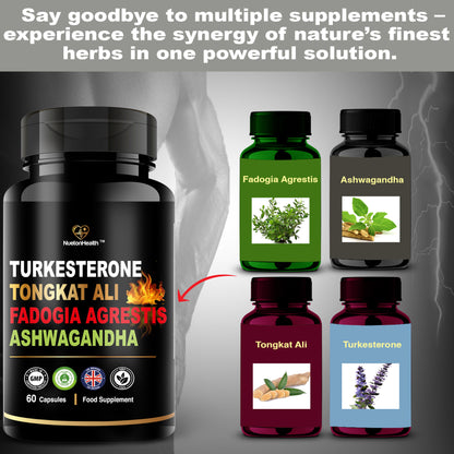 4-in-1 Male Vitality Complex - Turkesterone, Tongkat Ali, Fadogia Agrestis & Ashwagandha - 60 Vegan Capsules